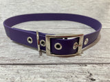 Purple Biothane Waterproof Dog Collar