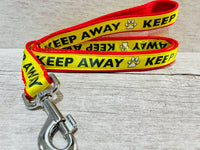 Keep Away Dog Ribbon Lead/Leash