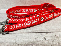 Solid Colour Do Not Distract Dog Ribbon Lead/Leash