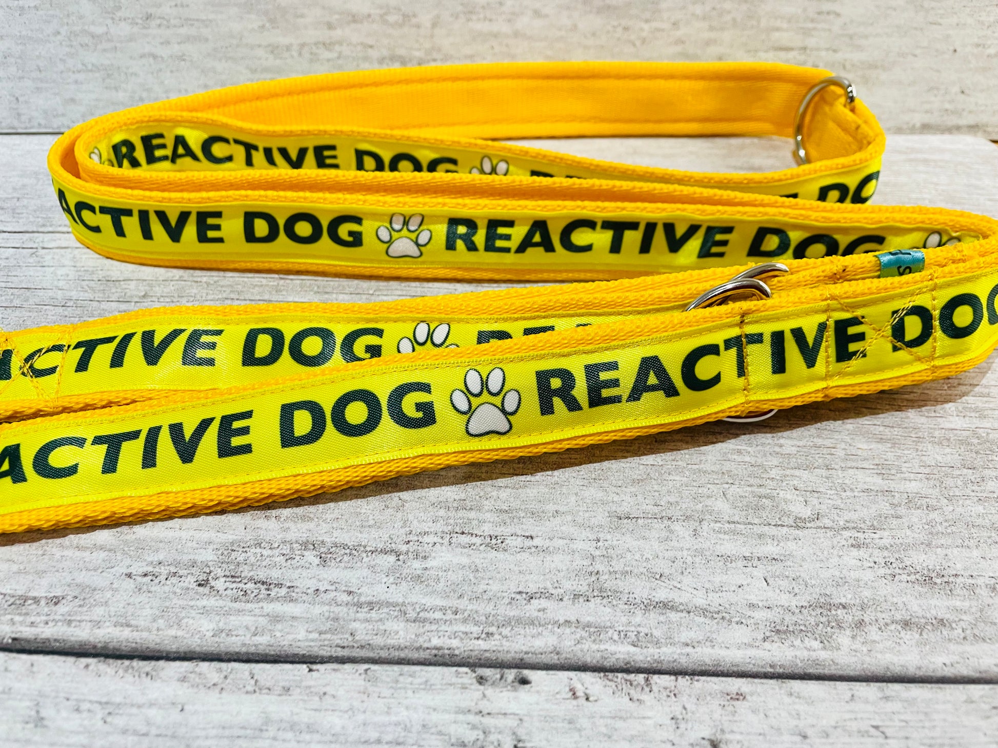 Solid Colour Reactive Alert Dog Lead - View 2 | Dottie's Pet Boutique