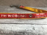 I'm Working Do Not Distract Dog Ribbon Lead/Leash - Custom Dog Collars