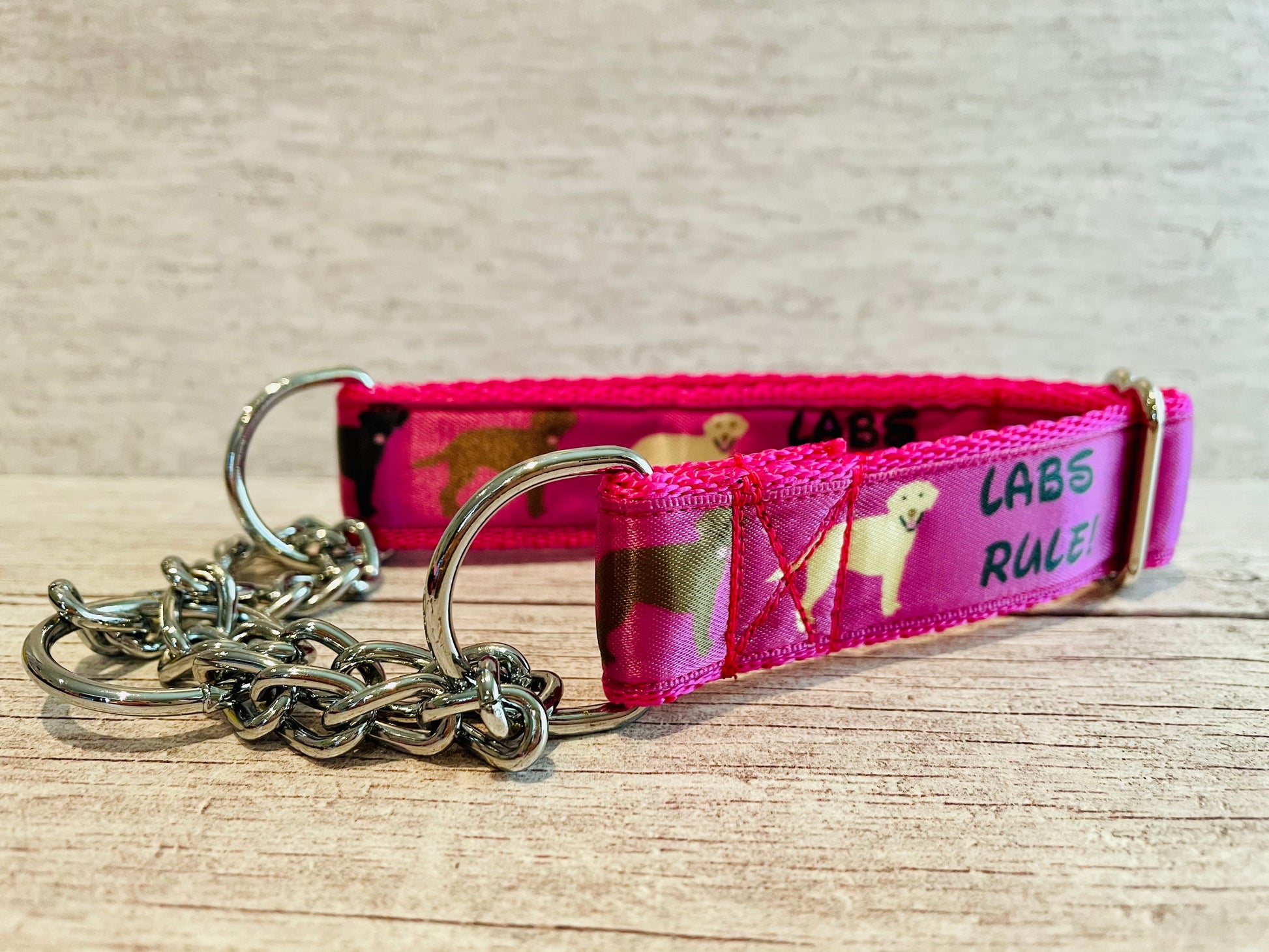 Labs Rules Dog Collar Labrador Rules - View 8 | Dottie's Pet Boutique