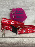 SALE - Neutered & Chipped Collar & Lead Set