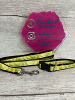 SALE - Banana Collar and Lead Set