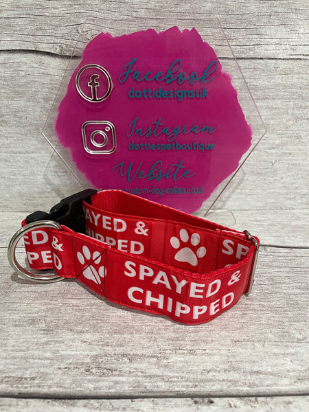 SALE - Wide Width Spayed & Chipped Dog Collar