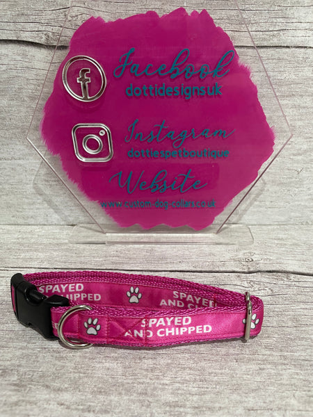 SALE - Spayed & Chipped Dog Collar