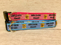 Goldies Rules Dog Collar **Golden Retriever Rules** - Custom Dog Collars