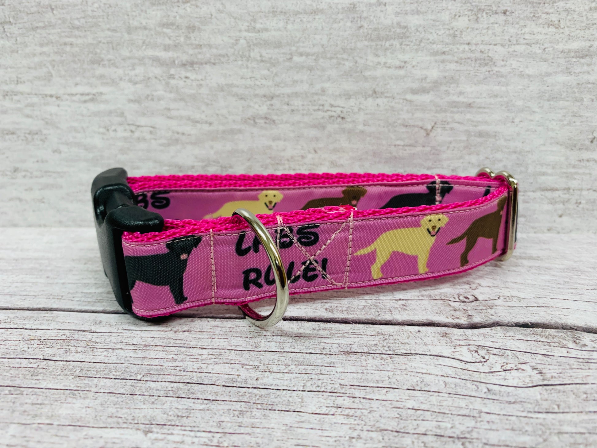 Labs Rules Dog Collar Labrador Rules - View 4 | Dottie's Pet Boutique