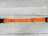Reactive Dog Ribbon Dog Collar - Red ribbon, Yellow Webbing