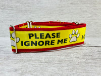 Please Ignore - Support Dog Collar