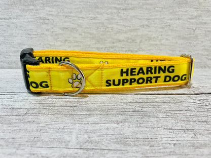 Hearing Support Dog Collar - Handmade in the UK | Dottie's Pet Boutique