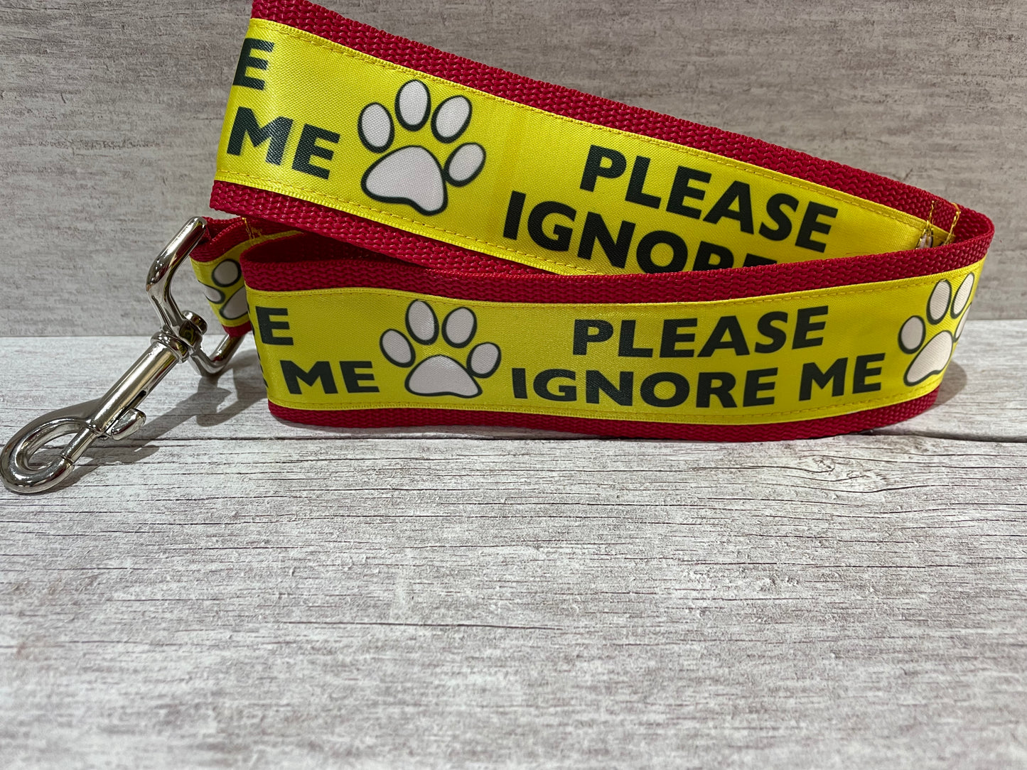 Please Ignore Dog Ribbon Lead/Leash