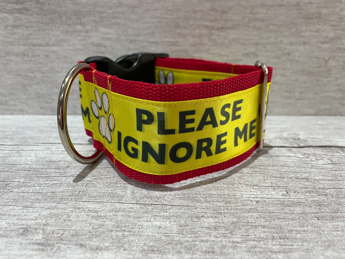 Please Ignore Dog Ribbon Lead/Leash