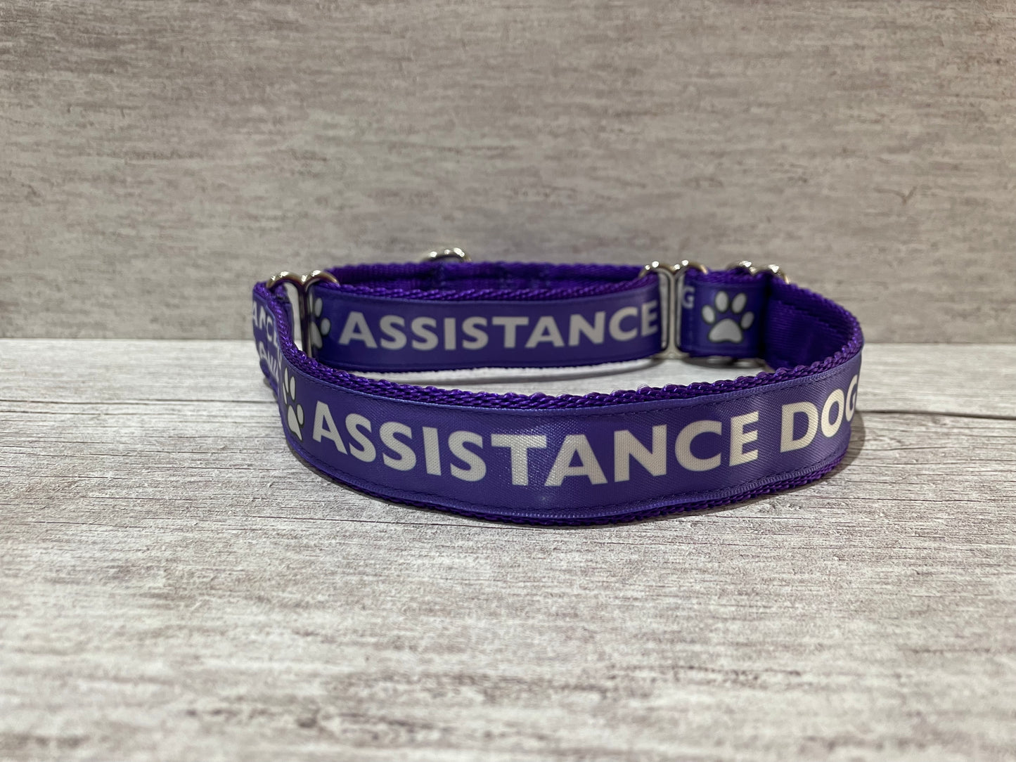 In Training Assistance Alert Dog Collar - View 2 | Dottie's Pet Boutique