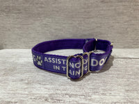 In Training Assistance Dog Collar - Any Colour