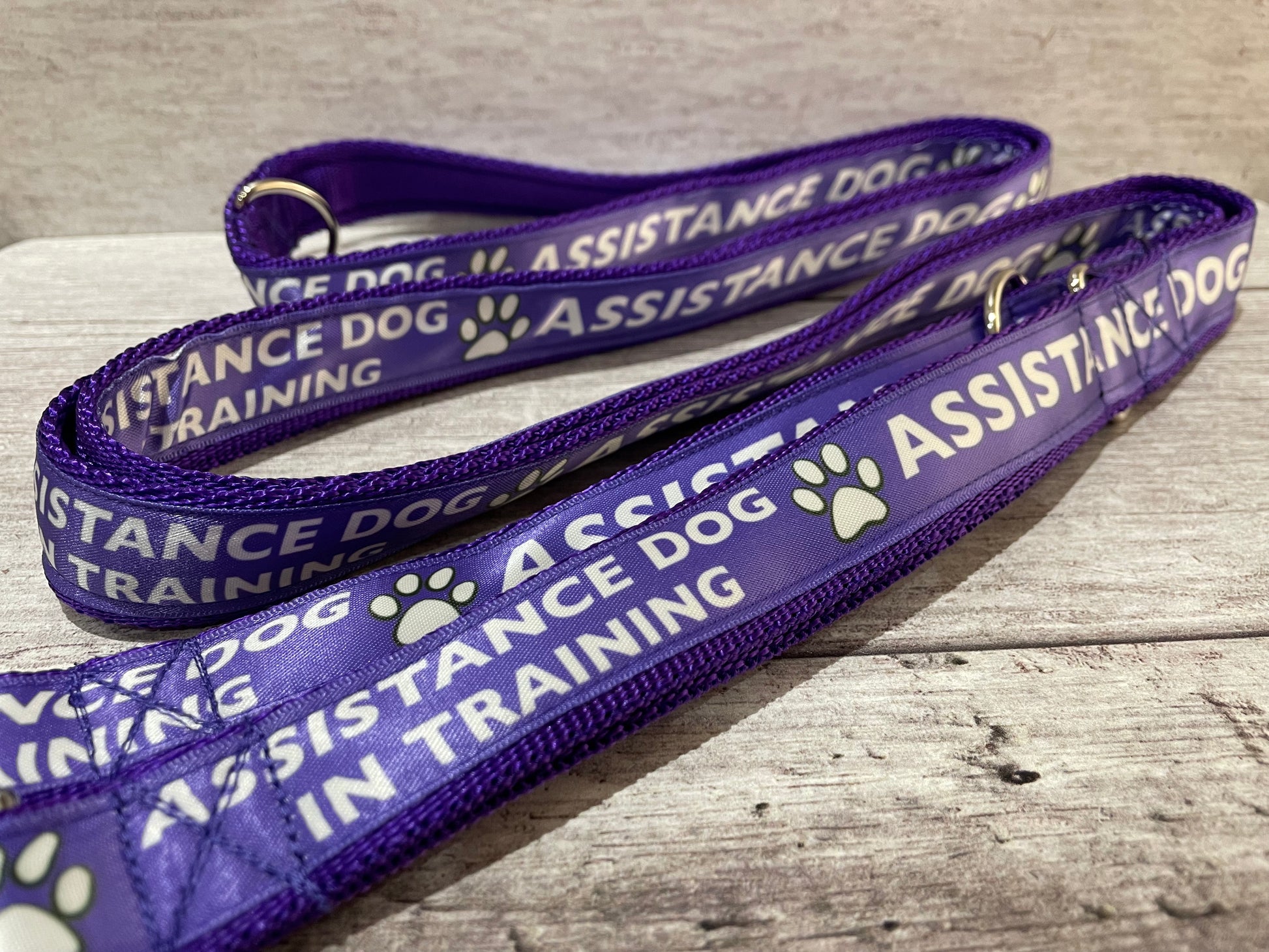 In Training Assistance Alert Dog Collar - View 7 | Dottie's Pet Boutique