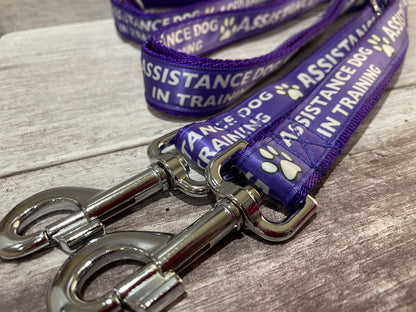 In Training Assistance Alert Dog Collar - View 8 | Dottie's Pet Boutique