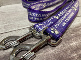 In Training Assistance Dog Collar - Any Colour