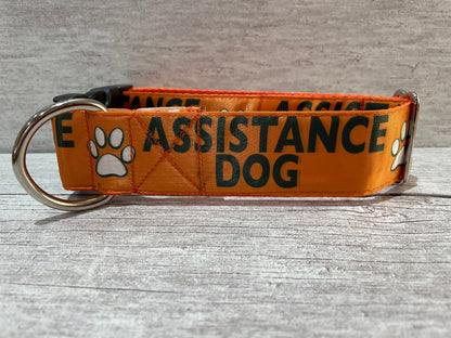 Assistance Dog Collar - Handmade in the UK | Dottie's Pet Boutique