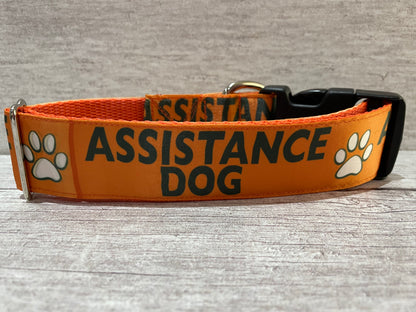 Assistance Dog Collar - View 2 | Dottie's Pet Boutique