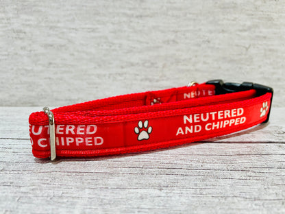Neutered and Chipped Dog Collar - View 2 | Dottie's Pet Boutique