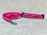 Microchipped - Allergies - Neutered - Spayed - Family - Owner Puppy Collar