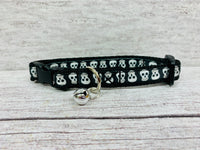 Bright colourful Skull Halloween Scary Puppy/Small Dog Collar