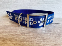 Neutered and Chipped Dog Collar