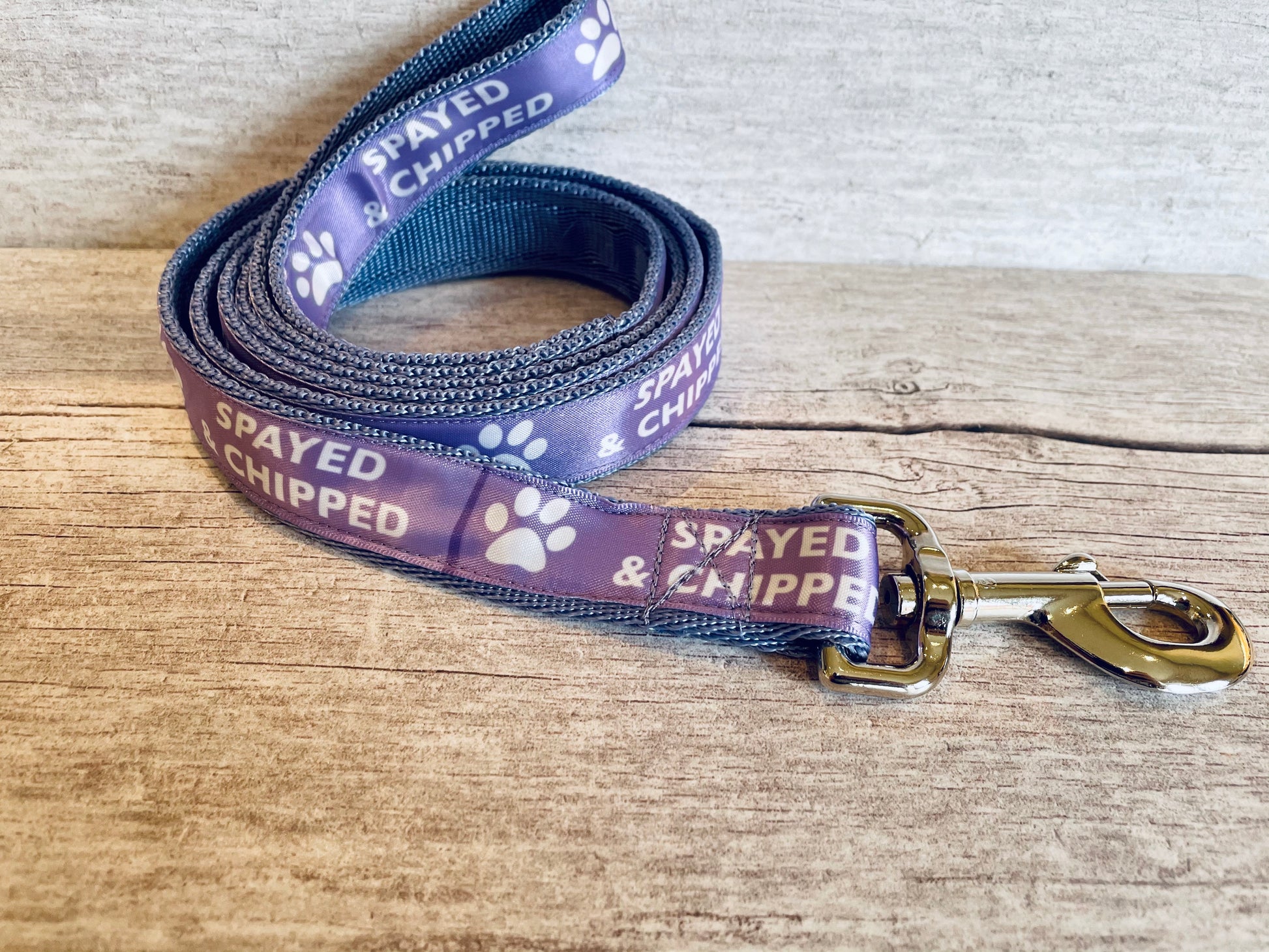 Spayed & Chipped Lead Alert - View 2 | Dottie's Pet Boutique