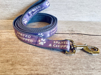 Spayed & Chipped Lead Alert - View 2 | Dottie's Pet Boutique