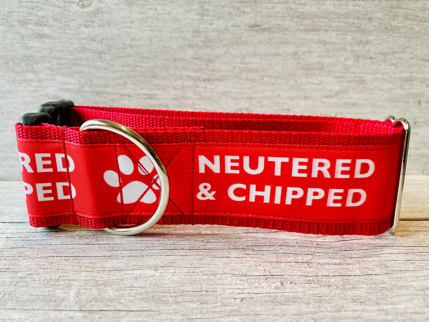 Neutered & Chipped Lead - View 4 | Dottie's Pet Boutique