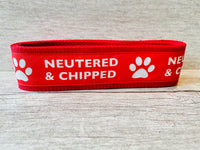 Neutered & Chipped Lead