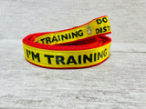 I'm Training Do Not Distract Ribbon Lead/Leash