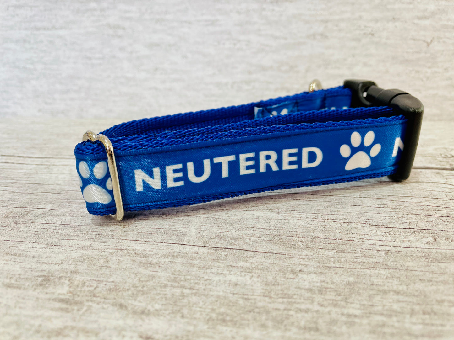Neutered Dog Collar - View 2 | Dottie's Pet Boutique