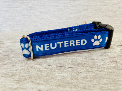Neutered Dog Collar - View 2 | Dottie's Pet Boutique