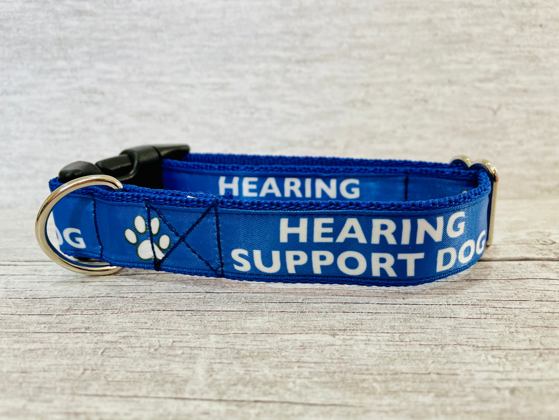 Hearing Support Dog Collar - View 2 | Dottie's Pet Boutique