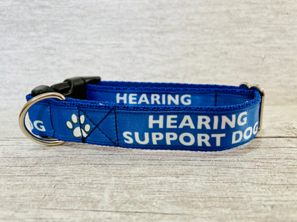 Hearing Support Dog Collar - View 2 | Dottie's Pet Boutique