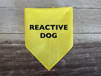 Reactive Dog Bandana - Tie on
