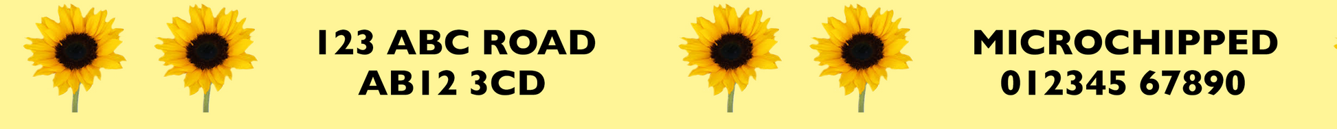 Personalised Dogs Name Custom Text Dog Collar - View 5 | Dottie's Pet Boutique