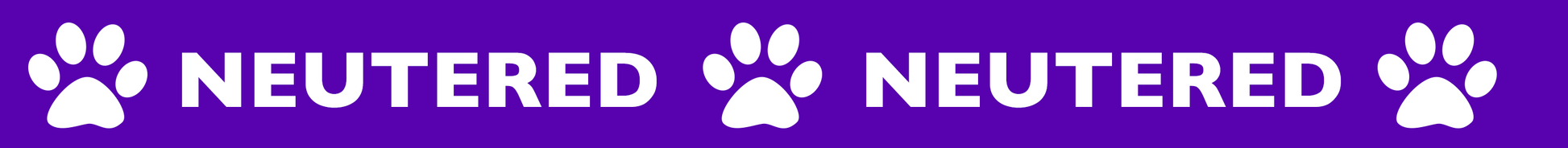 Neutered Dog Collar - View 3 | Dottie's Pet Boutique