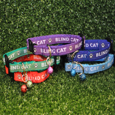Blind Cat Blind Cat Collar - View 2 | Dottie's Pet Boutique