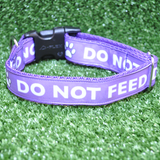 Do Not Feed Dog Collar - Any Colour - Custom Dog Collars