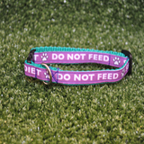 Purple Special Diet - Do Not Feed Ribbon Puppy/Small Dog Collar - Custom Dog Collars
