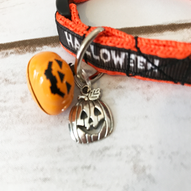 Happy Halloween Pumpkin Cat Collar - View 2 | Dottie's Pet Boutique