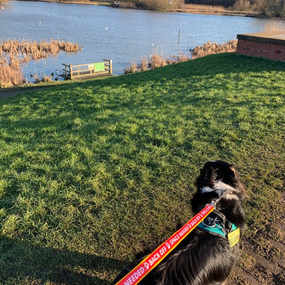 Back Off - Space Needed Dog Lead - View 7 | Dottie's Pet Boutique