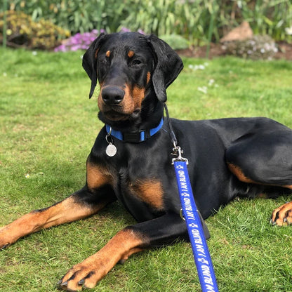 I am Blind Ribbon Dog Lead/Leash