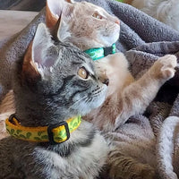 Pickle Inspired Kitten/Cat Collar