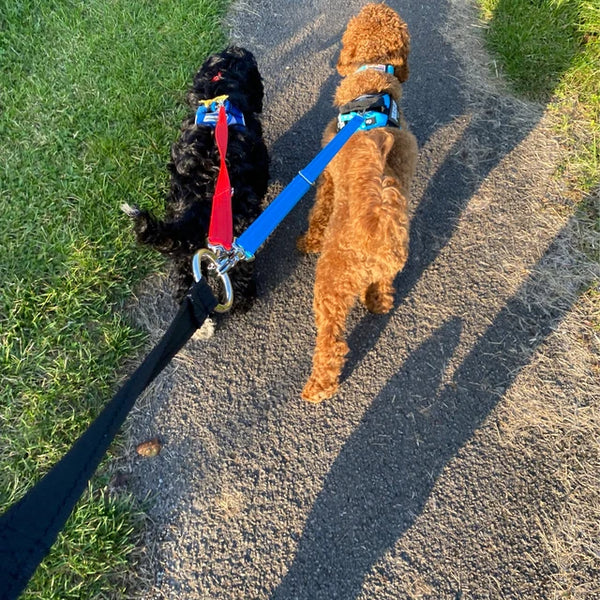 Multi dog lead hot sale