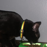 Reggae Inspired Kitten/Cat Collar
