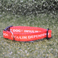 Epileptic Seizures - Diabetic Dog - Insulin Dependent - Medical Alert Puppy/Small Dog Collar - Custom Dog Collars